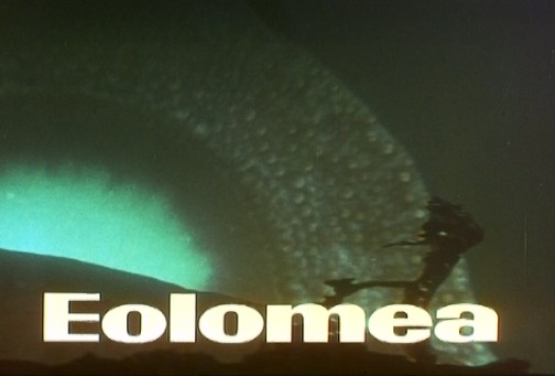 EOLOMEA 1972