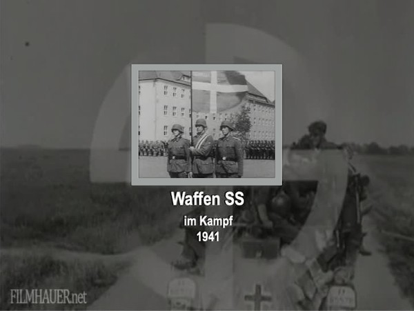 WAFFEN SS IN BATTLE 1941